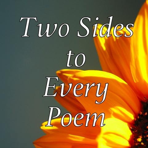 World War II Poetry Sunshine Sunflower Sad