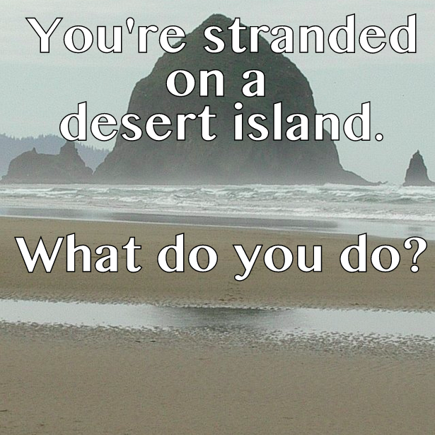 Desert Island, Question