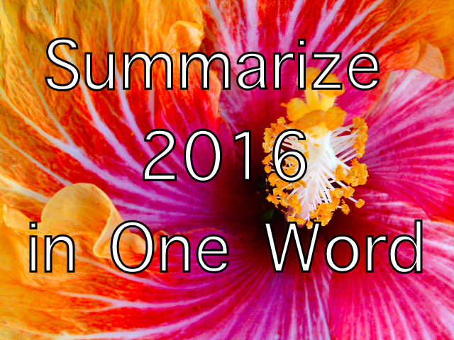 New Year, 2016, Unfurling, Blossom